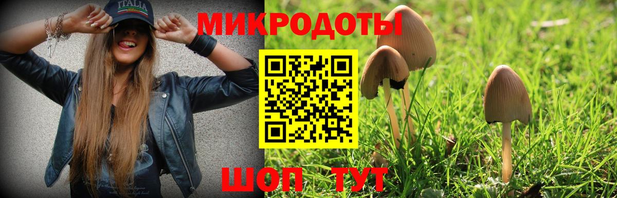 Галлюциногенные грибы MAGIC MUSHROOMS Верхняя Салда